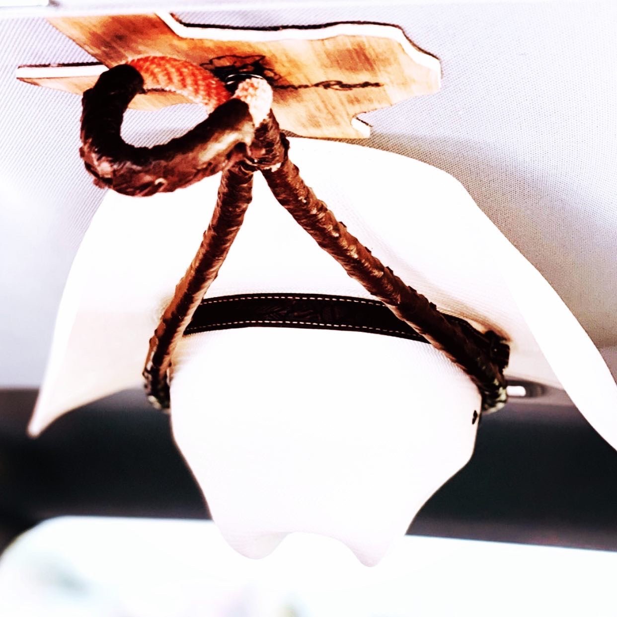 JM Ostrich Brown Edition Cowboy Hat Rack. - JM Ranch Snap Racks