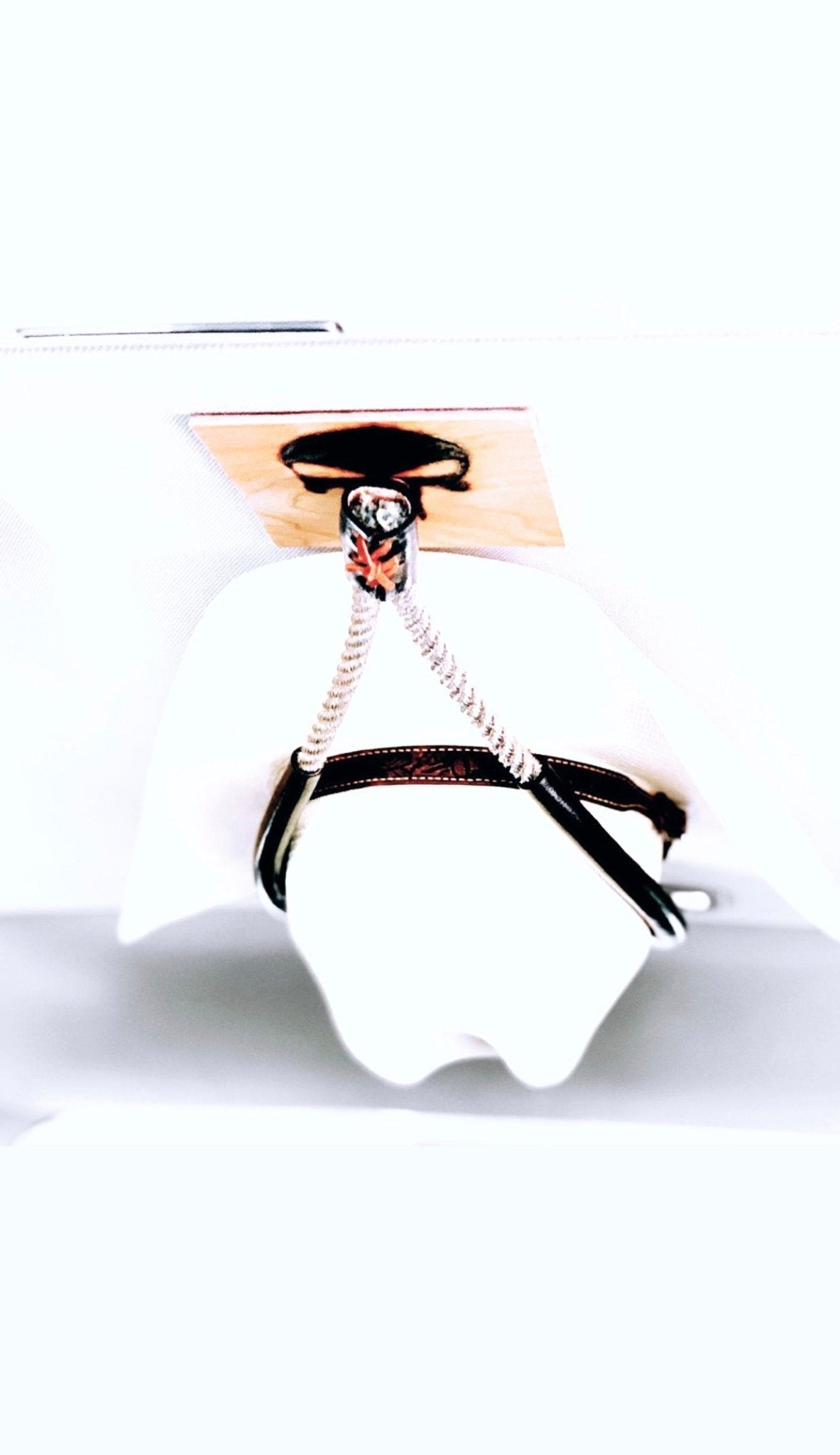 JM Ring Of Fire Edition Cowboy Hat Rack - JM Ranch Snap Racks