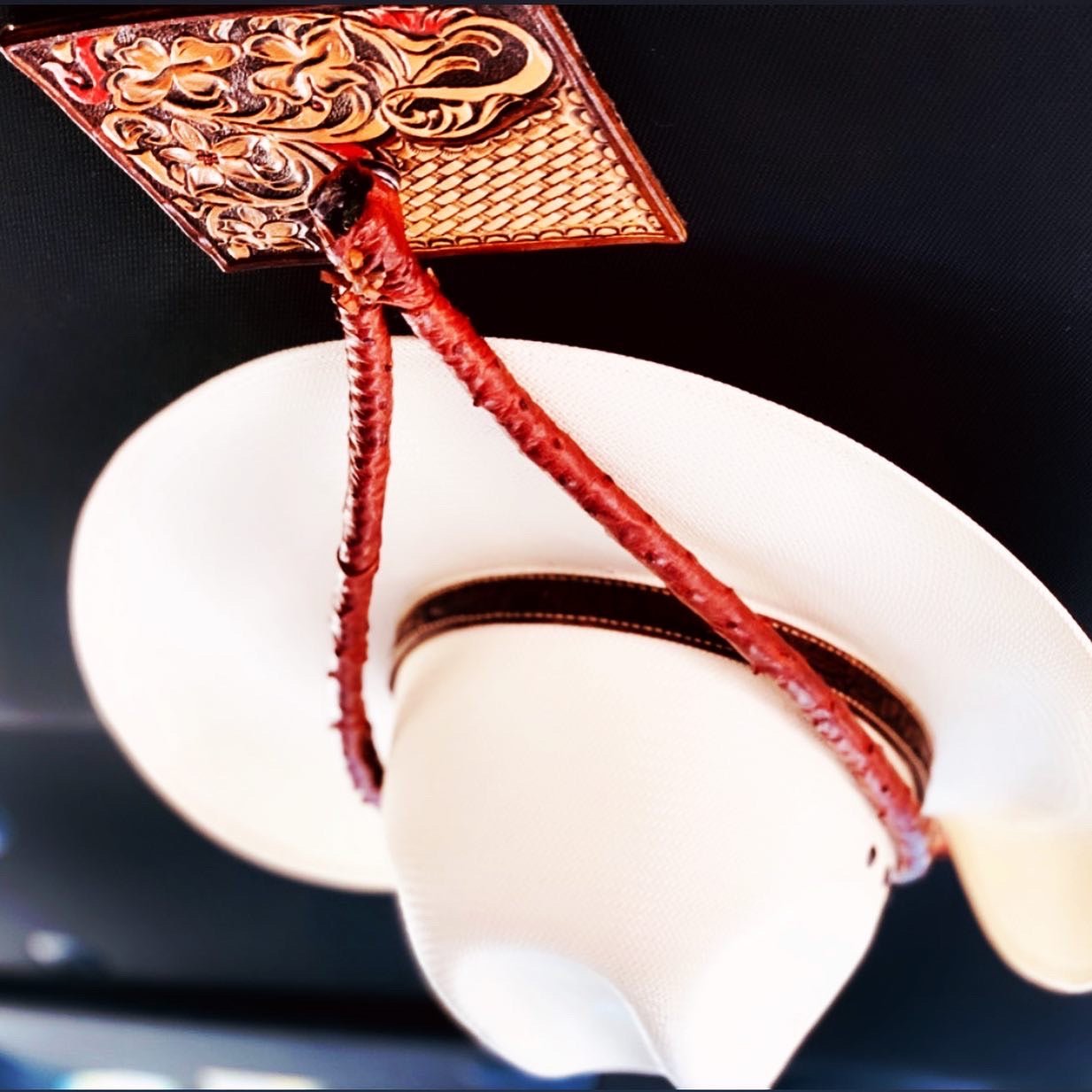 JM Brush Roper Ostrich Edition Cowboy Hat Rack – JM Ranch Snap Racks